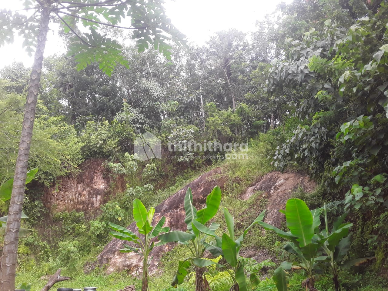 Residential land available for Sale in Kottarakkara Kollam