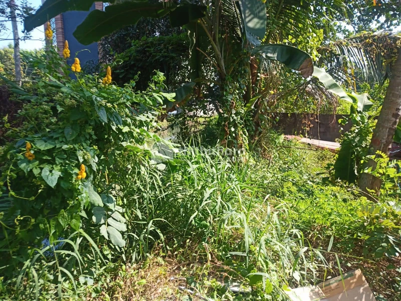 Residential land for sale at Kochi Ernakulam