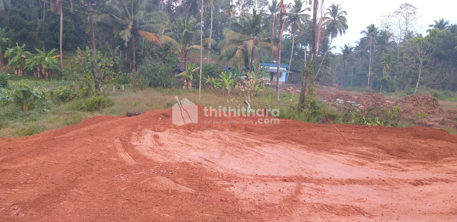 Residential Land available for Sale in Thamarasseri Kozhikode