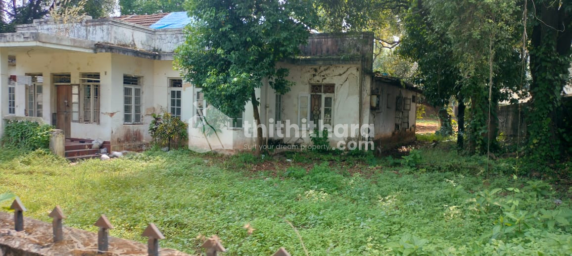 Residential Land for sale in Avenue road Thrissur