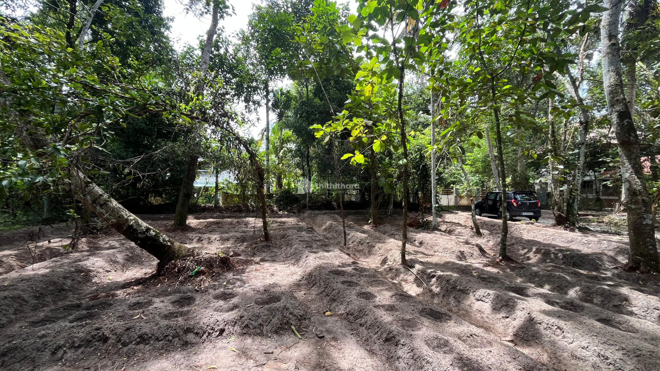 Commercial Plots available for sale in Karthikappally Alappuzha