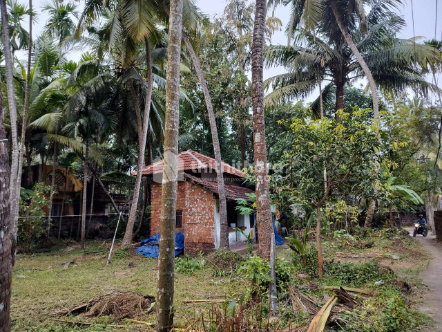 14 Cent Plot for sale at Meenchandha ,Kozhikode