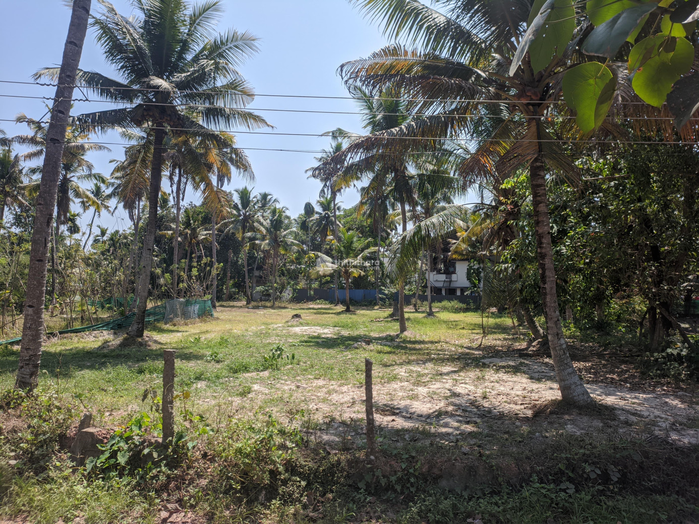 Residential Land available for Sale in Karunagappally Kollam