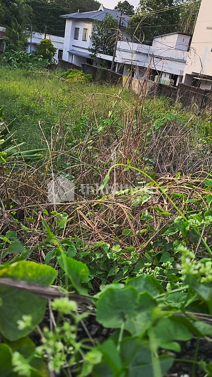 Residential land for sale at Ettumanoor Kottayam
