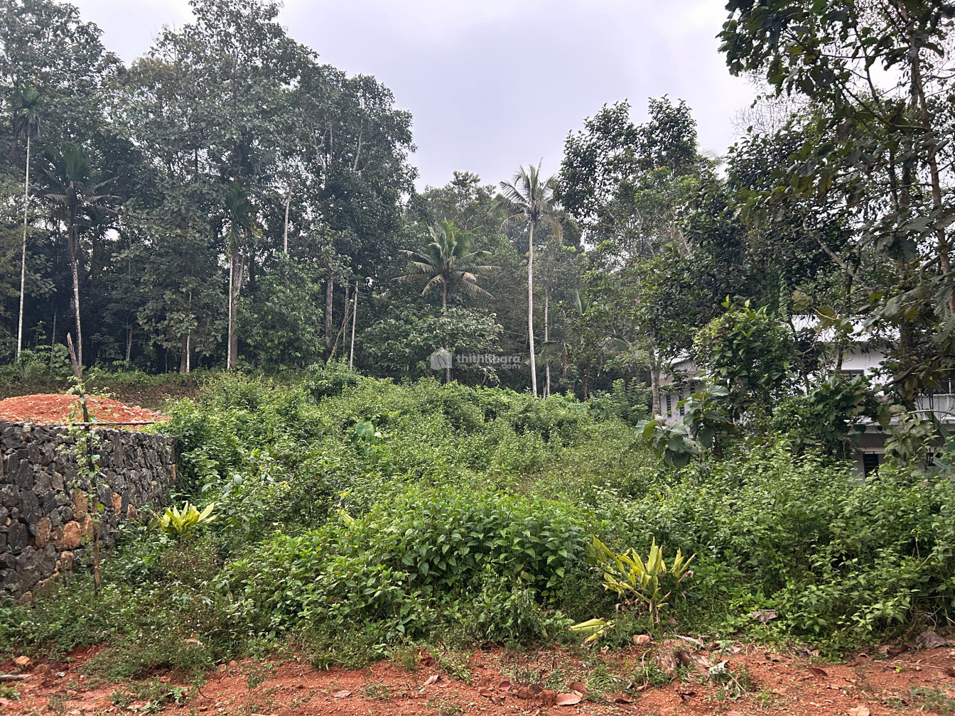 Residential Land available for Sale in Kanjirappally Kottayam