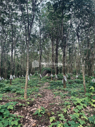 Commercial Plots available for Sale in Puthukkad Thrissur