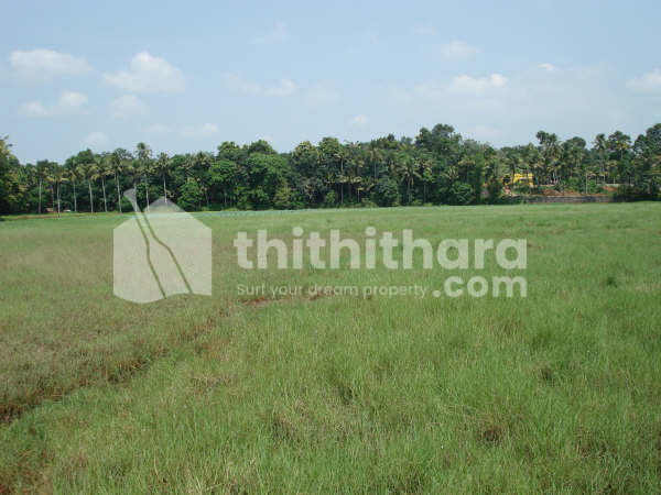 Agricultural land for sale at Choondal Thrissur