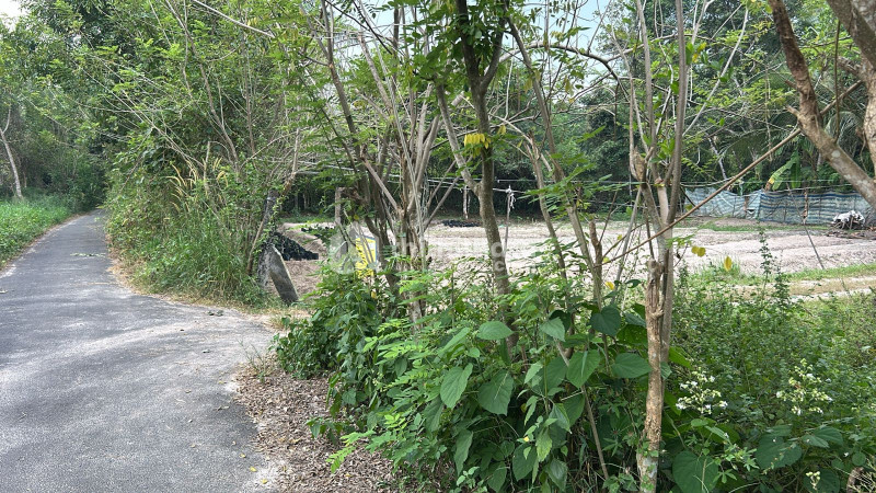 Residential Land available for Sale in Cherthala Alappuzha