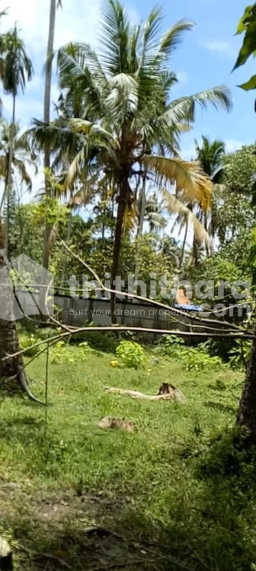 Residential Land available for Sale in Paravur Ernakulam