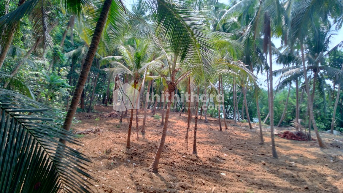Commercial plot for sale at Pantheerankavu Kozhikode 