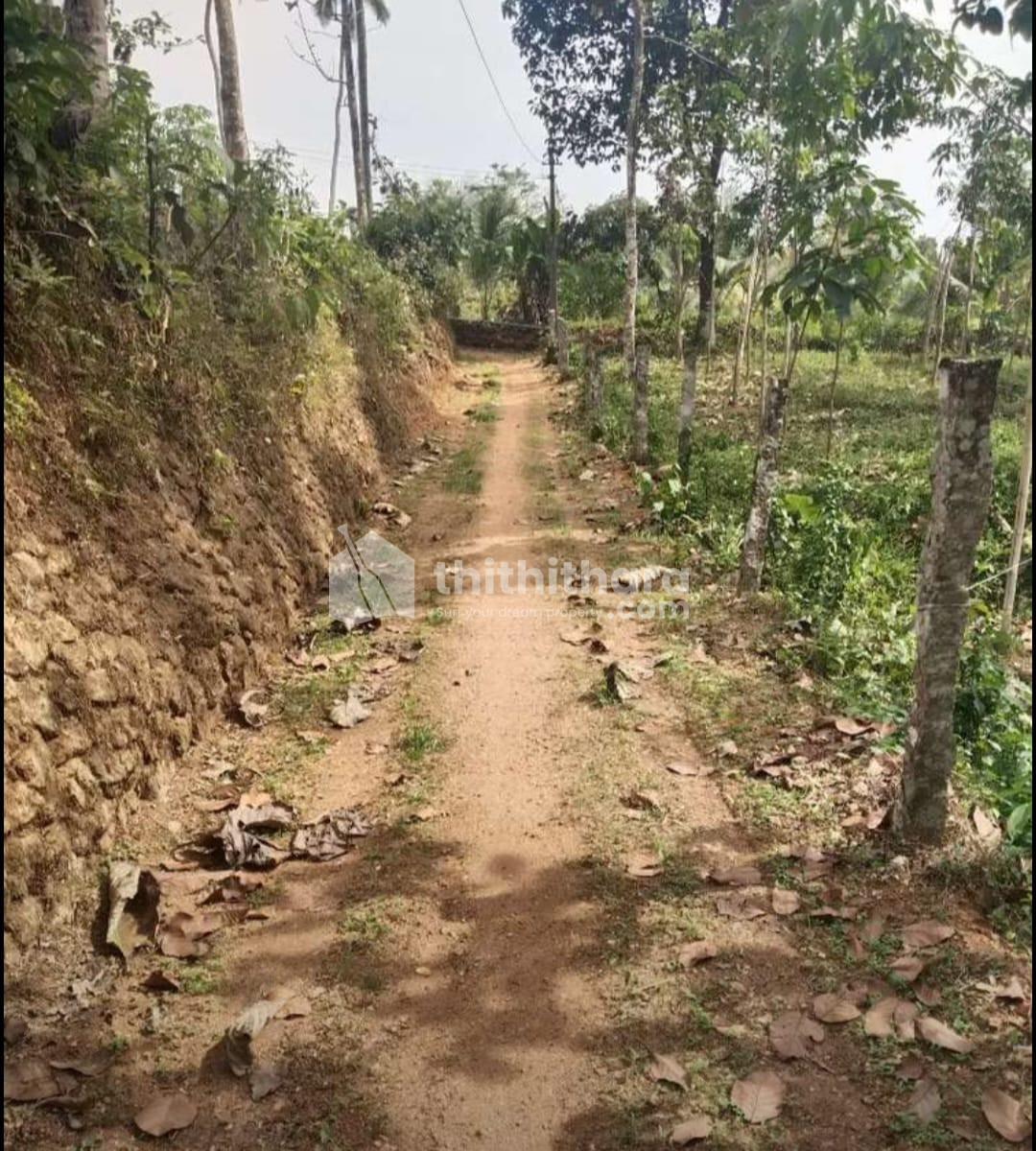 Residential Land available for Sale in Adoor Pathanamthitta