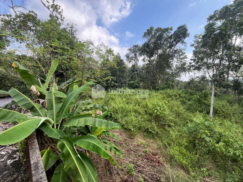 Residential Land available for Sale in Chengannur Alappuzha