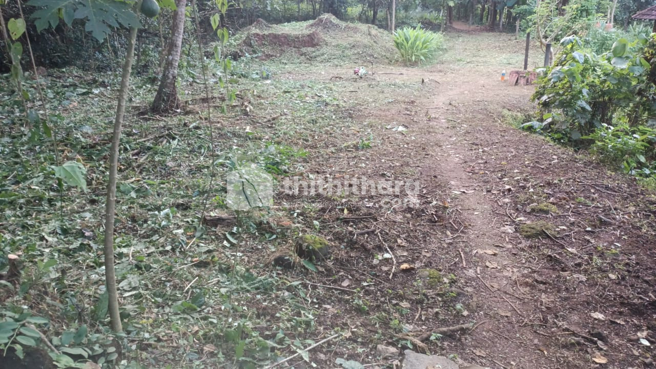 Residential land for sale at Shornur Palakkad