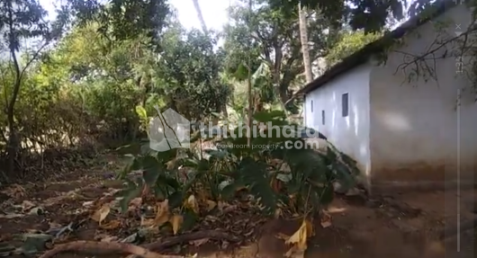 Residential Land available for Sale in Walayar Palakkad