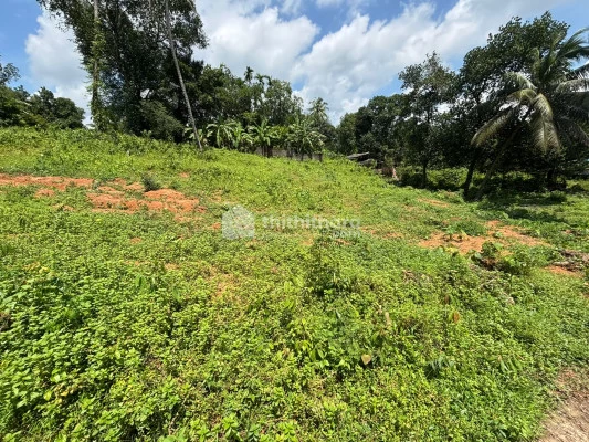 Residential Land available for Sale in  Aluva Ernakulam