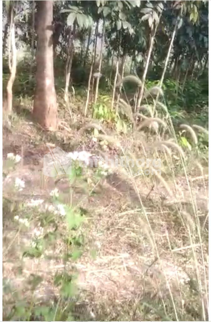 20 Cents Residential Plot for Sale at Kacherippadi, Manjeri 