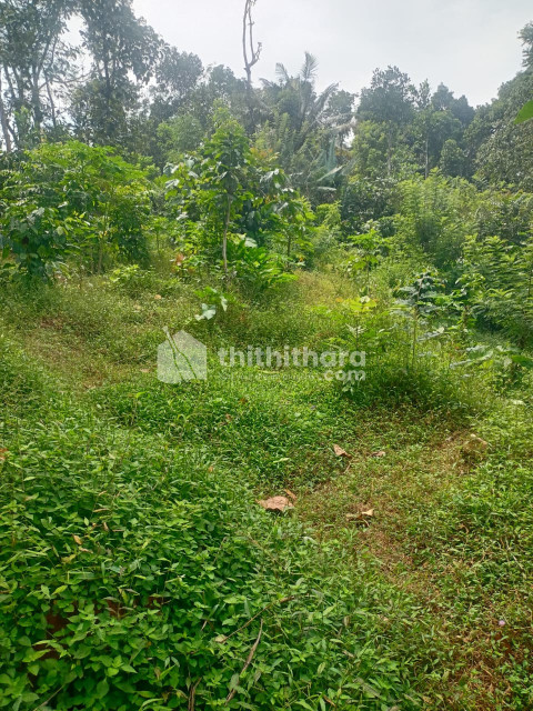 Residential Land available for Sale in Ayyappancoil Idukki