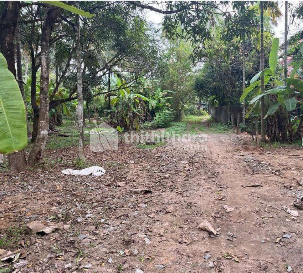 Residential Plot for sale at Ollur Thrissur
