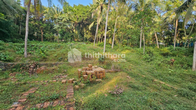 Residential Land available for Sale in Kuttippuram Malappuram
