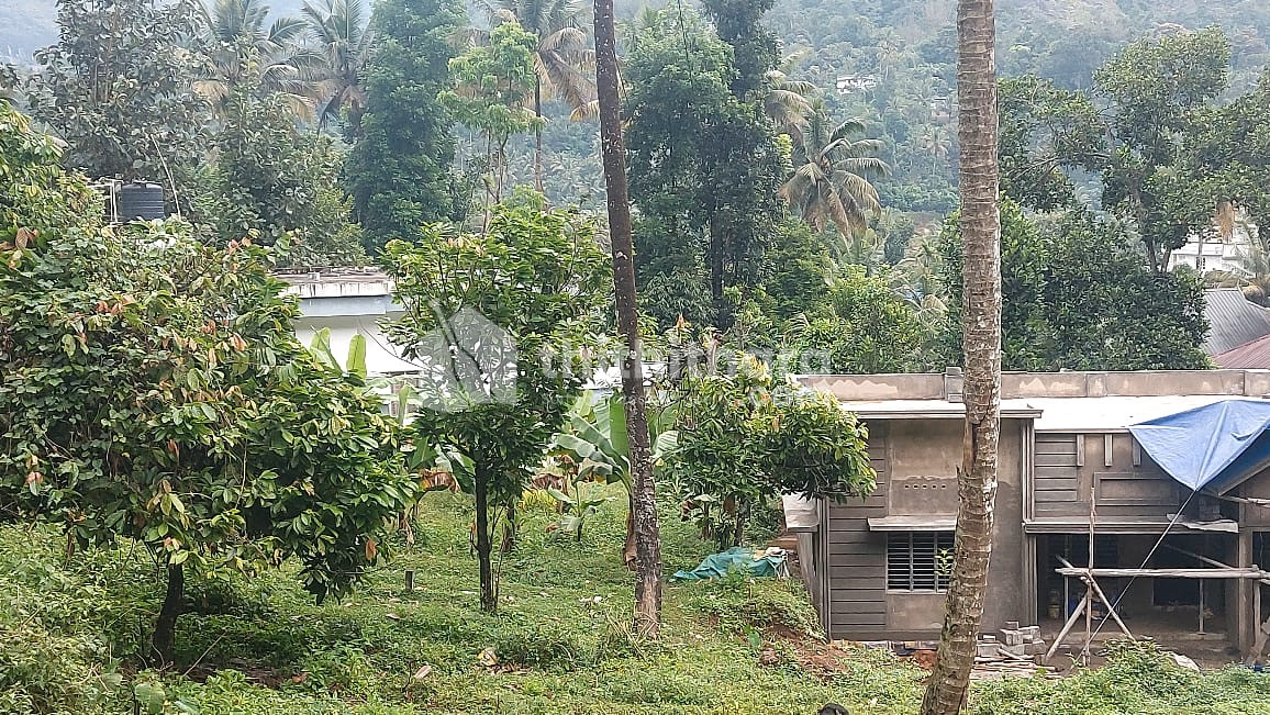Residential land for sale at Adimaly Idukki