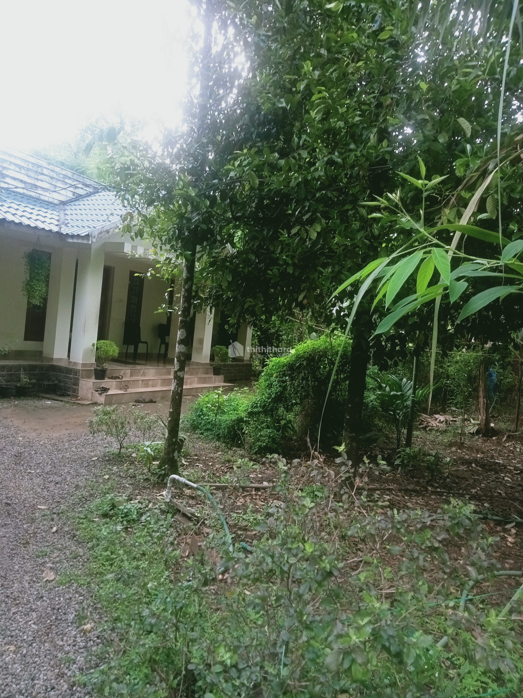 3 BHK House for sale at Nellayi Thrissur