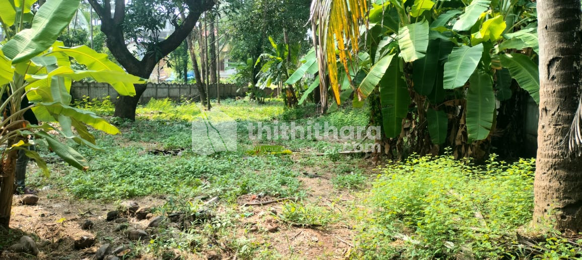 Residential Land for sale in Punkunnam Thrissur
