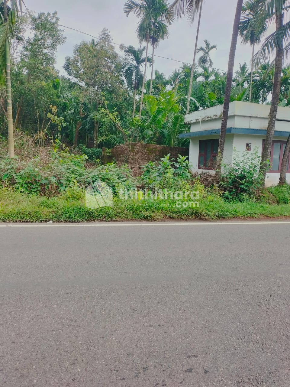 Commercial plot for sale at Thaliparamba Kannur