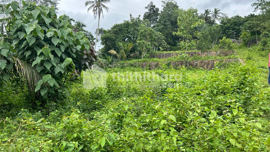 Residential Land available for Sale in Adoor Pathanamthitta