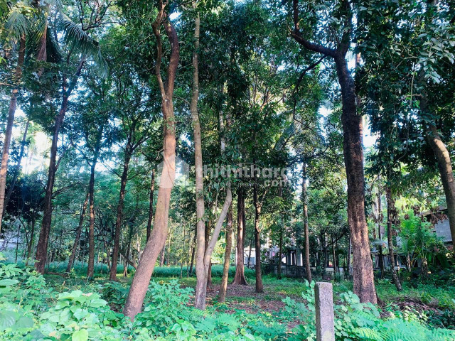 Commercial Plots available for Sale in Ponnani Malappuram