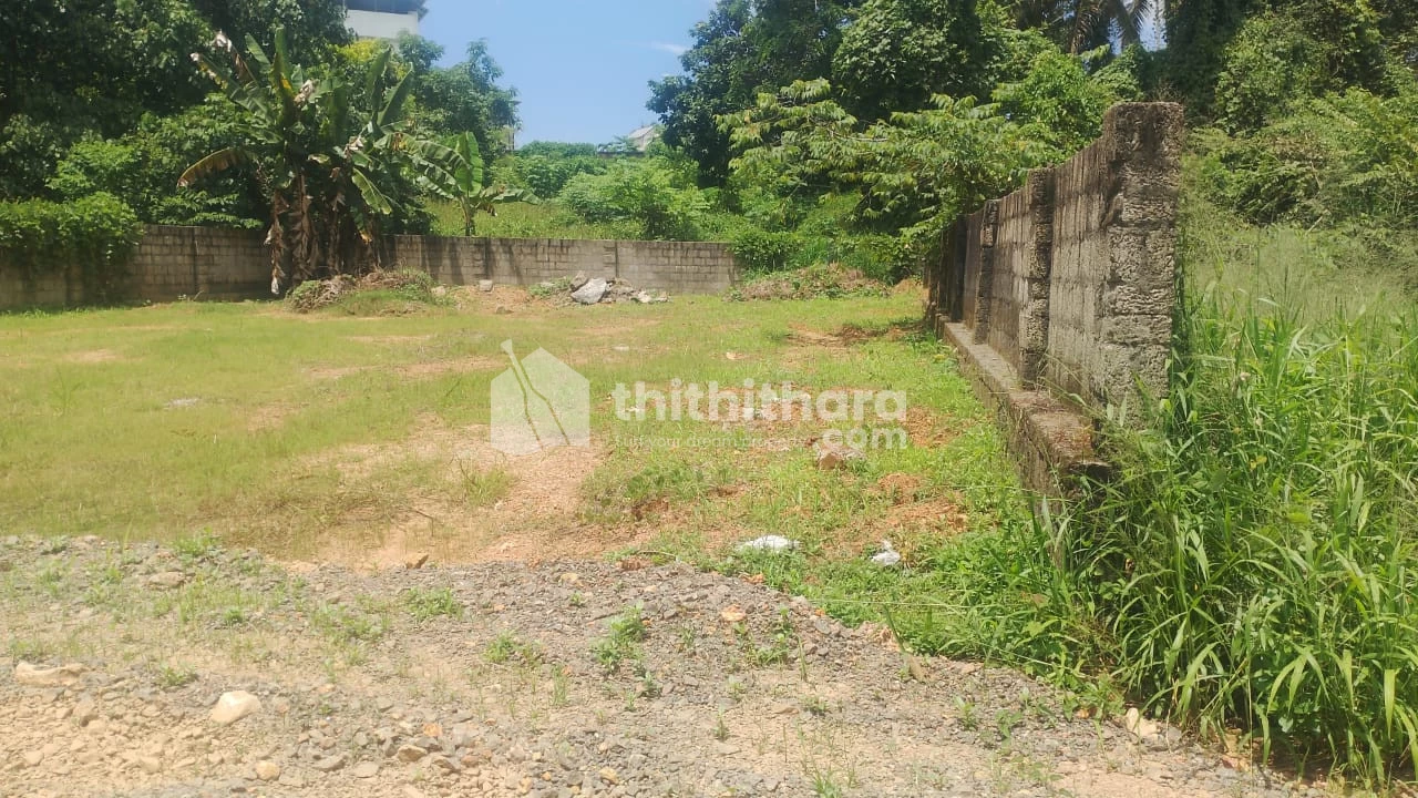 Residential Land available for Sale in Thrikkakara Ernakulam