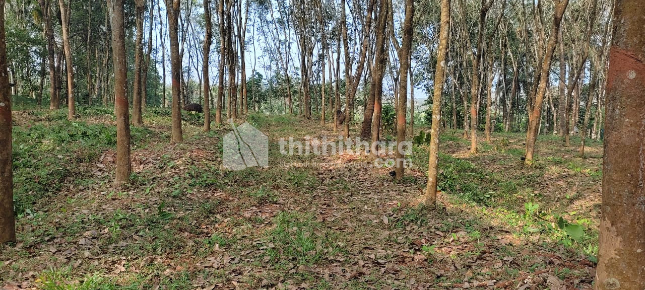 2 Acre agricultural land for sale at Kodali ,Thrissur
