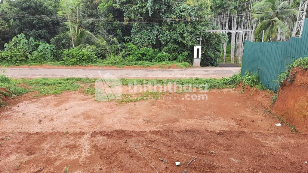 Commercial Plot for Rent
