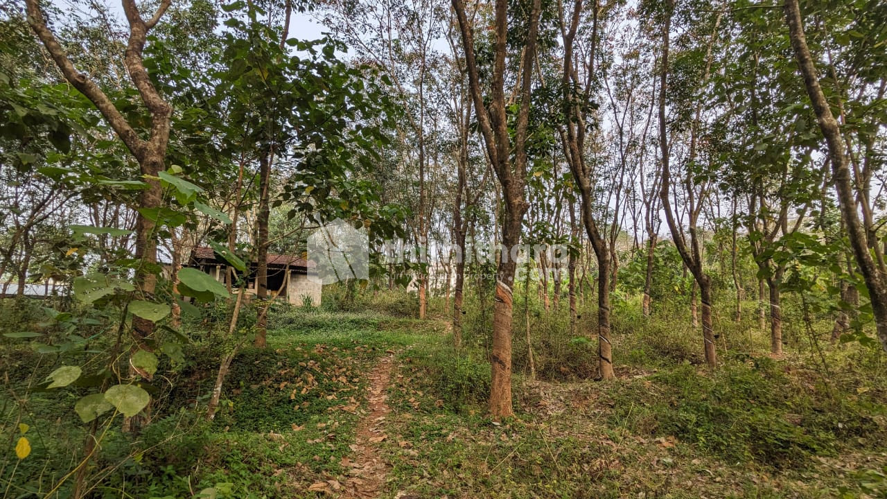 Industrial Plots available for Sale in Ottappalam Palakkad