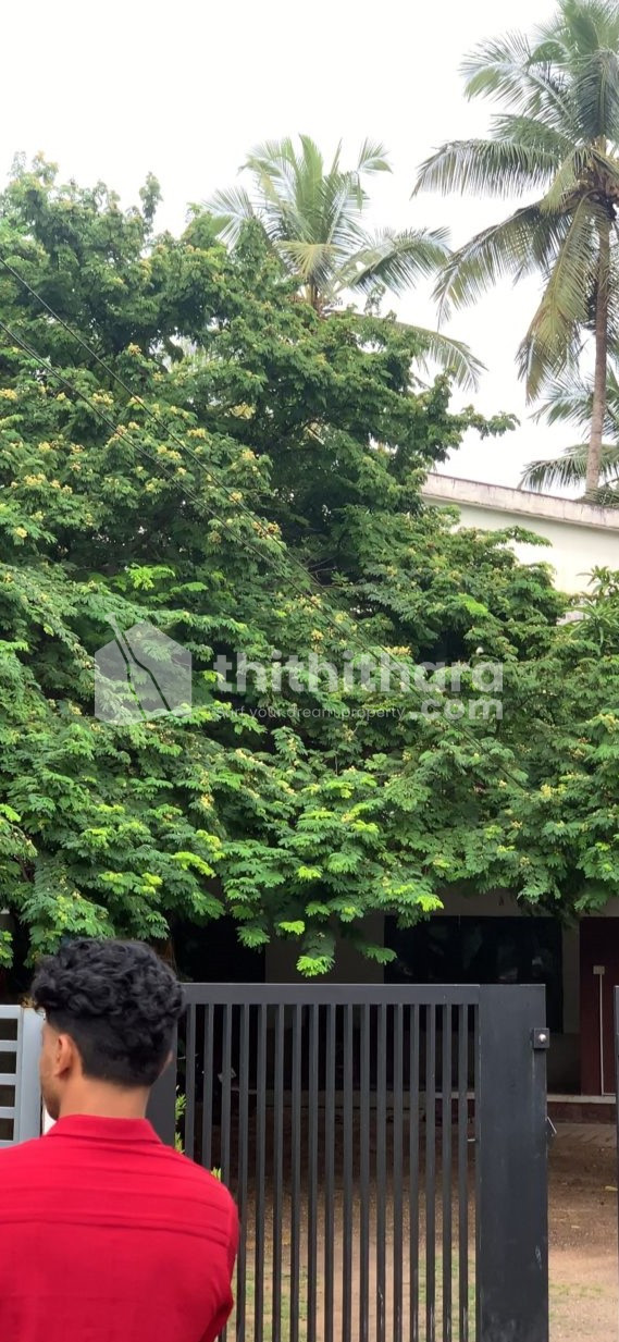 5 BHK Independent House available for Sale in Chavakkad Thrissur