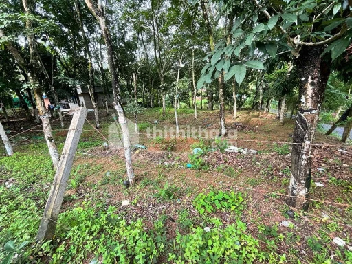 Residential Land available for Sale in Chottanikkara Ernakulam
