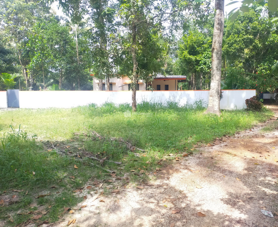 4 BHK Residential House for sale at Cherthala Alappuzha
