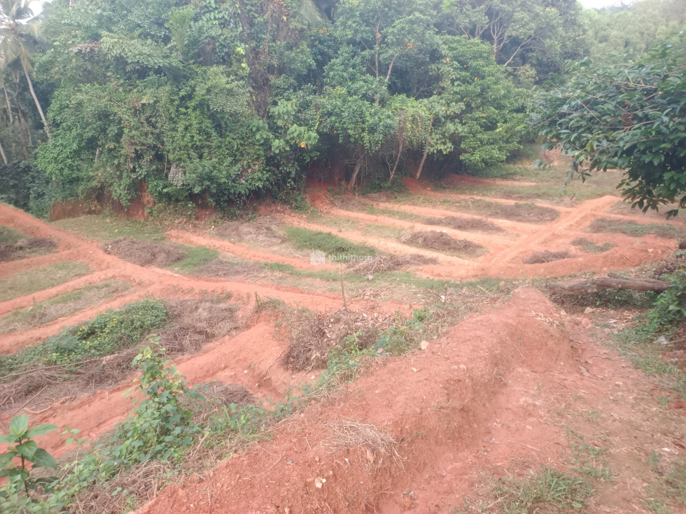 Residential land for sale at Rmanattukara Malappuram