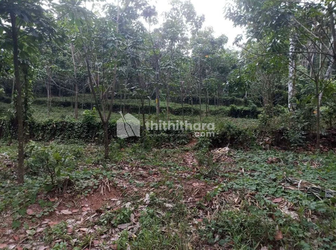 Commercial Plots available for Sale in Kanjirappally Kottayam