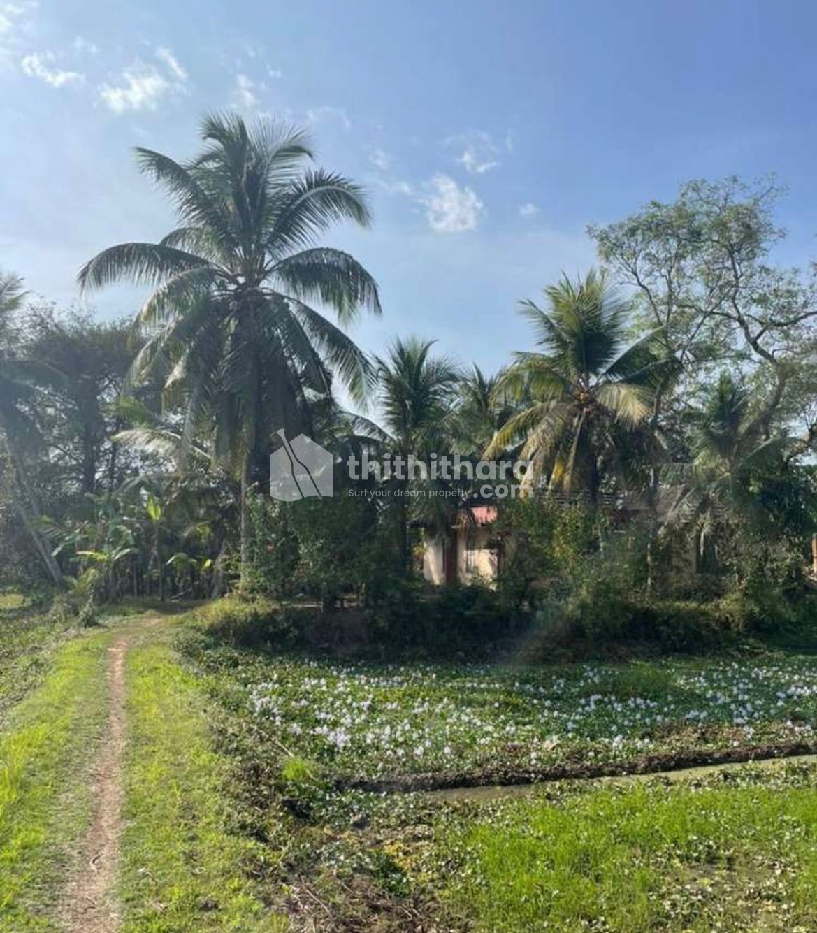 Residential Land available for Sale in Thiruvalla Pathanamthitta