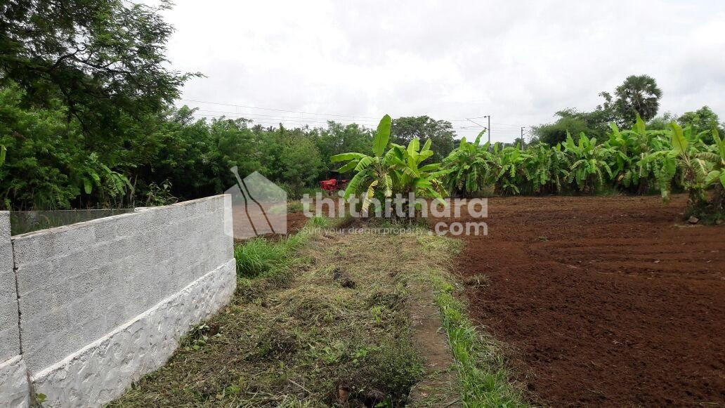 Residential Land for sale in Pattambi Palakkad