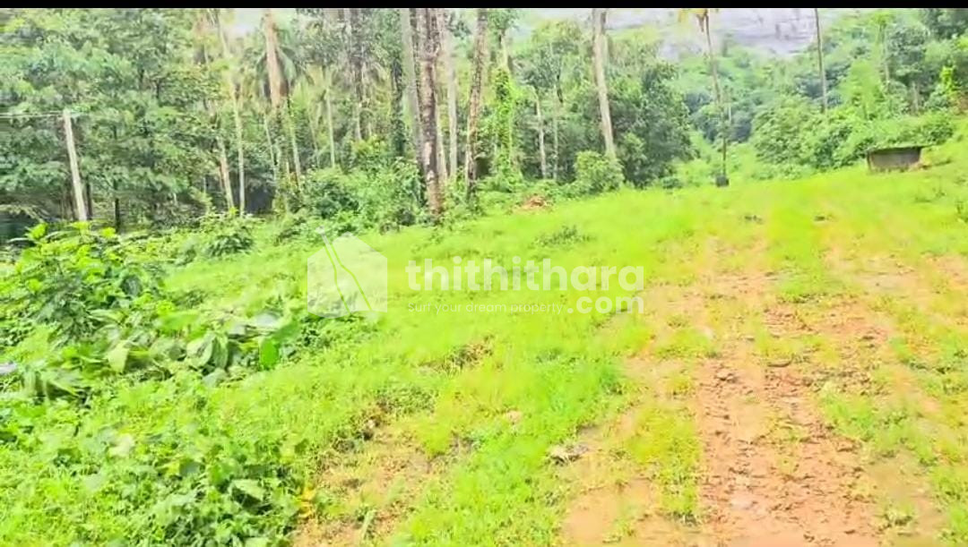Recidential land for sale at Ottapalam Palakkad