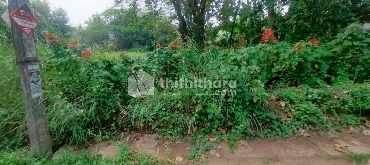 Residential Land for sale in Chungam, S N park Thrissur