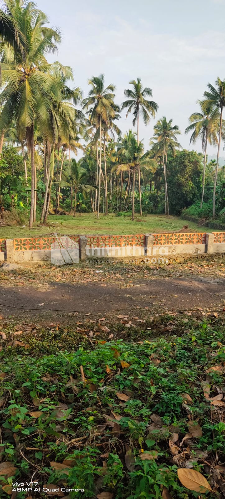 Residential land for sale at Kaiparambu Thrissur
