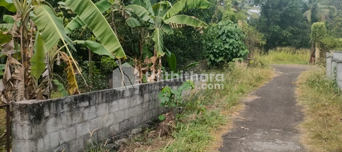 Residential Land for sale in Kolazhy Thrissur