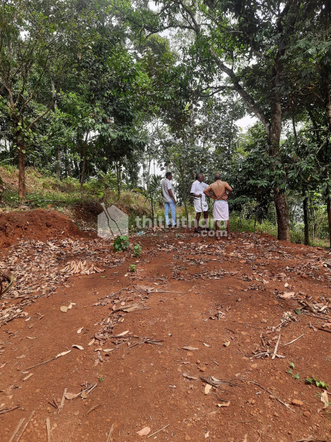 Commercial land for sale at Vythiri Wayanad