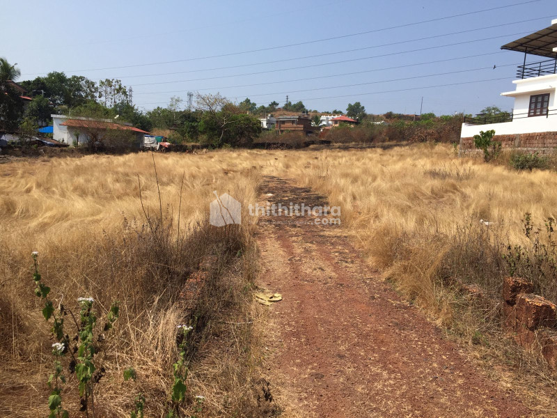 Commercial Plots available for Sale in Thaliparamba Kannur