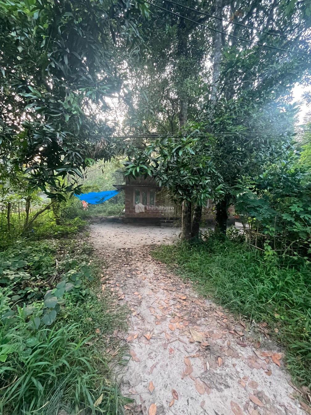 Residential Land available for Sale in Cherthala Alappuzha
