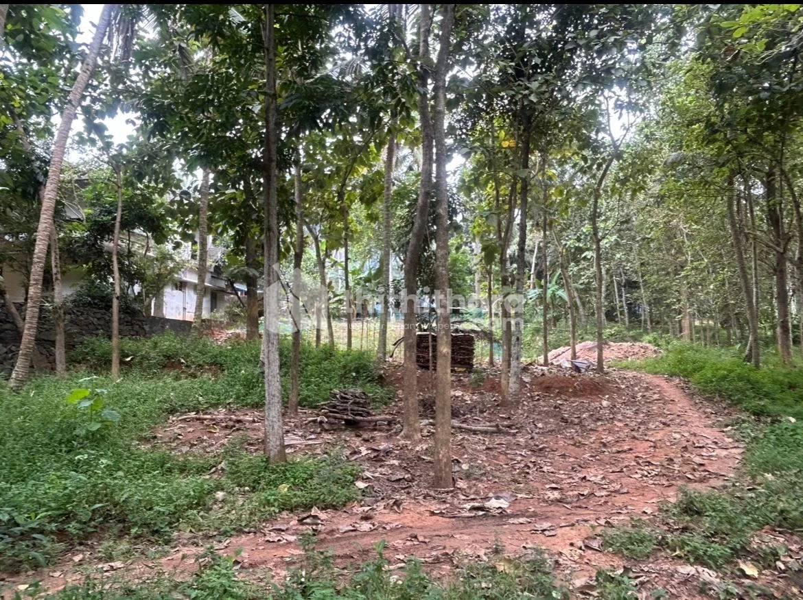 Residential Land available for Sale in Kovalam Thiruvananthapuram