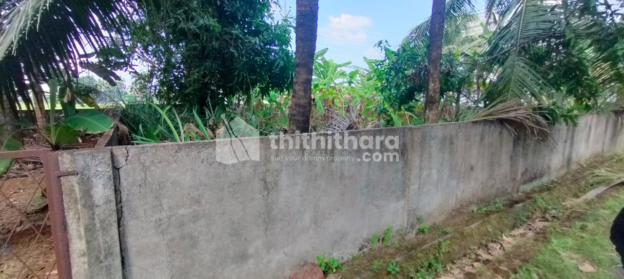 Residential Land for sale in Viyyur Thrissur