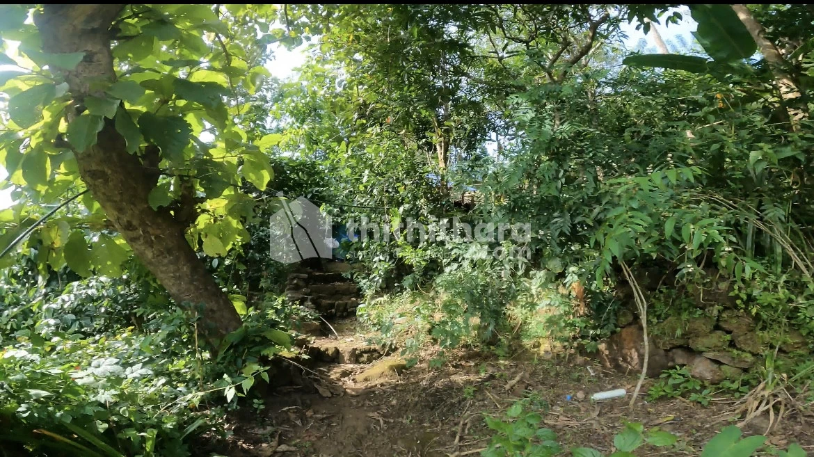 Agricultural land for sale at Udumbanchola Idukki